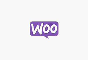 SEO Agency Woocommerce