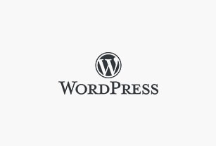 SEO Agency WordPress